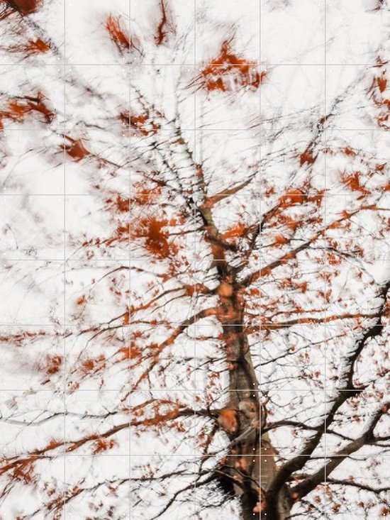 IXXI Autumn Tree - Wanddecoratie - Fotografie - 120 x 160 cm