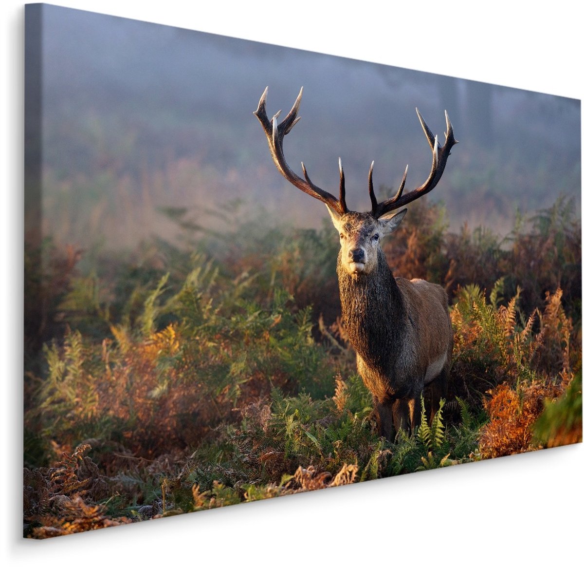 karo-art Schilderij - Imposant Hert, 5 maten, Premium Print Multikleur