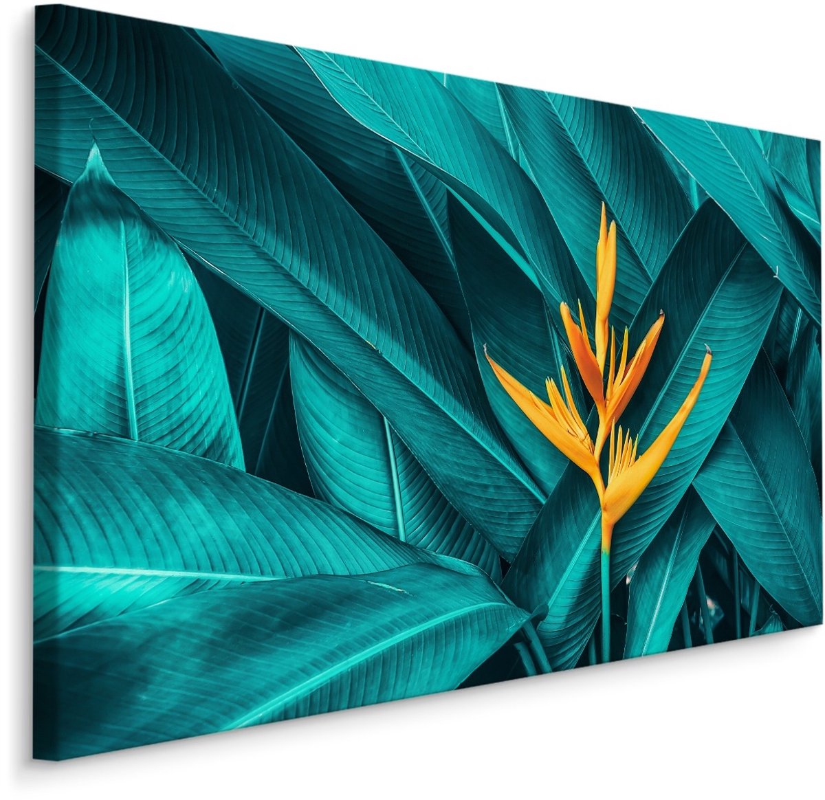 karo-art Schilderij - Oranje Bloem op een achtergrond van Tropische bladeren, 5 maten Multikleur