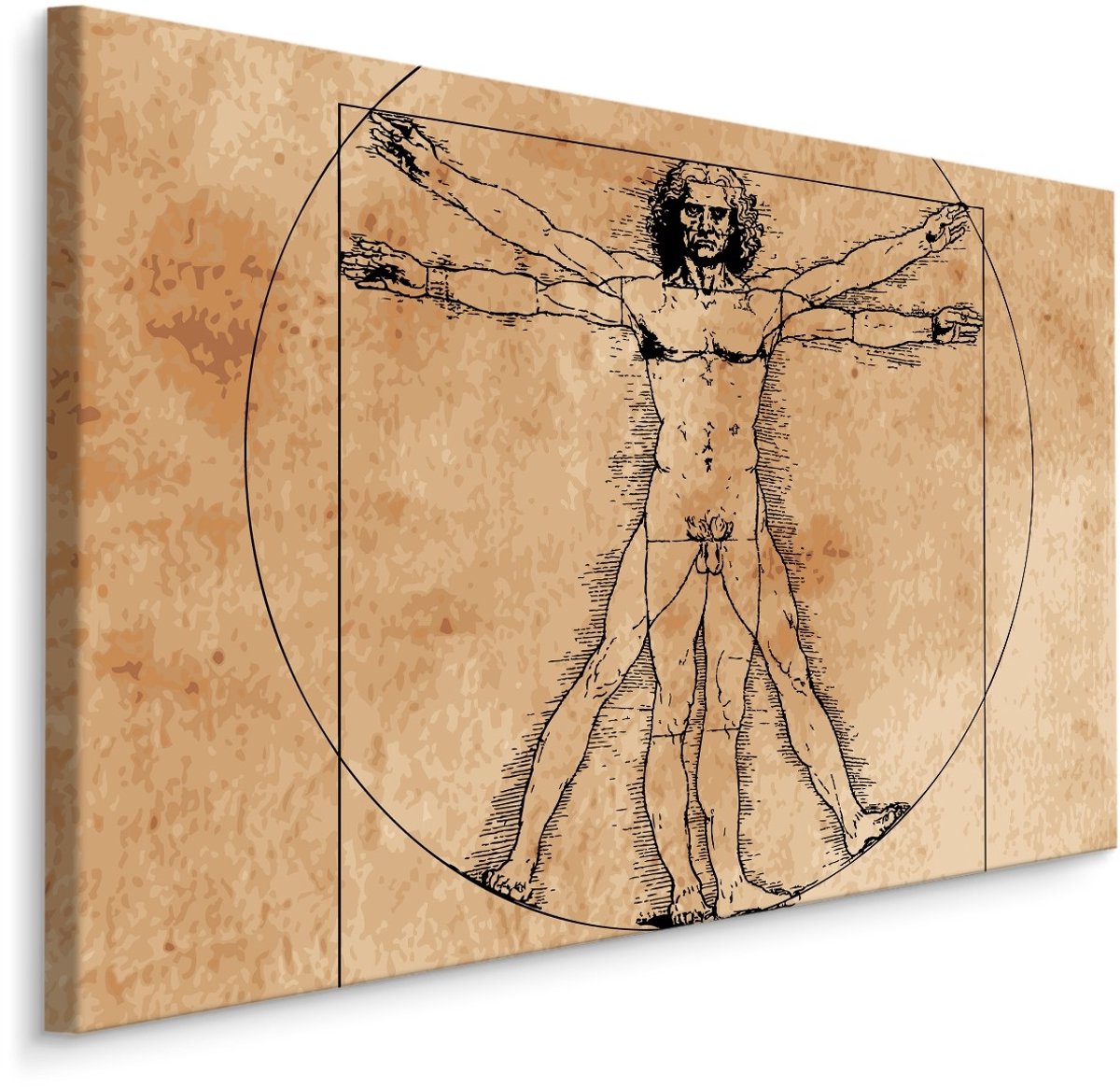 karo-art Schilderij - Vitruviusman, Leonardo da Vinci (print op canvas), beige, 4 maten, wanddecoratie Multikleur