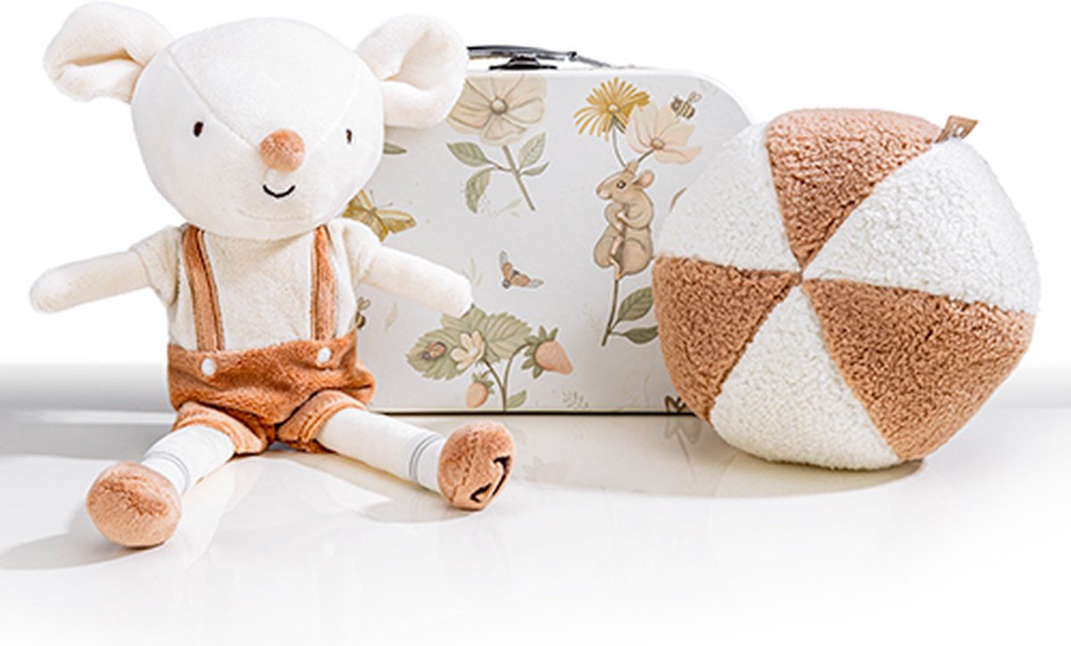 Goedkoopste Geboorte Cadeaupakket 'Dreamy Mouse' Jongen