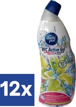 Ambipur WC Activ Gel Nettoyant WC Citron Vert & Glace (Pack économique) - 12 x 750 ml
