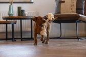 Beeztees Puppy Play Rope Pim - Jouet pour chien - 3 noeuds - Polyester - Beige - 30x6x4,5 cm