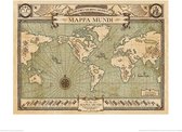 Kunstdruk Fantastic Beasts Mappa Mundi 50x40cm