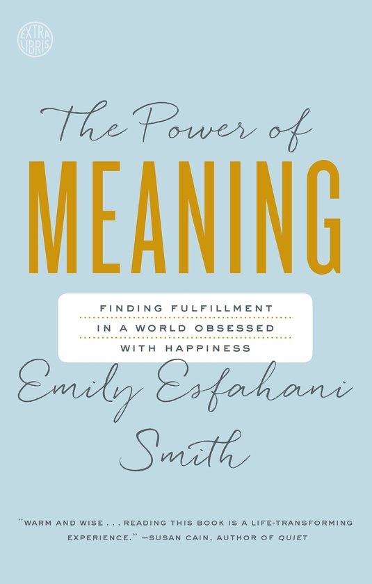 De kaft van 'The Power of Meaning' in lichtblauw met de titel in goudkleurige hoofdletters. Ondertiteling 'Finding Fulfillment in a World Obsessed with Happiness'.