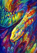 Rainbow Snake - Puzzel - 1000 Stukjes