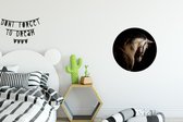 WallCircle - Cercle Mural - Cercle Mural - Paarden - Licol - Zwart - Aluminium - Dibond - 30x30 cm - Intérieur et Extérieur