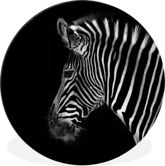 Cercle mural - Cercle mural - Zebra - Animaux sauvages - Zwart - Aluminium - ⌀ 30 cm - Intérieur et extérieur