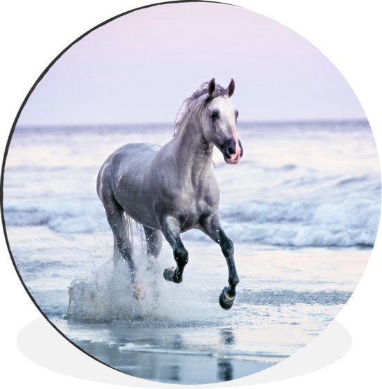 WallCircle - Cercle Mural - Cercle Mural - Paarden - Ciel - Mer - Aluminium - Dibond - 90x90 cm - Intérieur et Extérieur