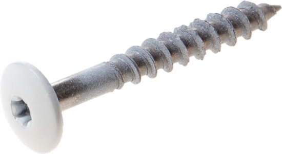 Wit Trespa schroef, 4.8 x 38mm, met zeskantdop en TX-20 aandrijving. RAL 9010.
