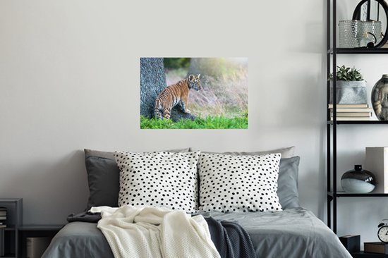 Stickers muraux - Film adhésif - Tigre dans la forêt - 60 x 40 cm - Film adhésif - Stickers muraux chambre d'enfant - Papier peint autocollant - Film adhésif