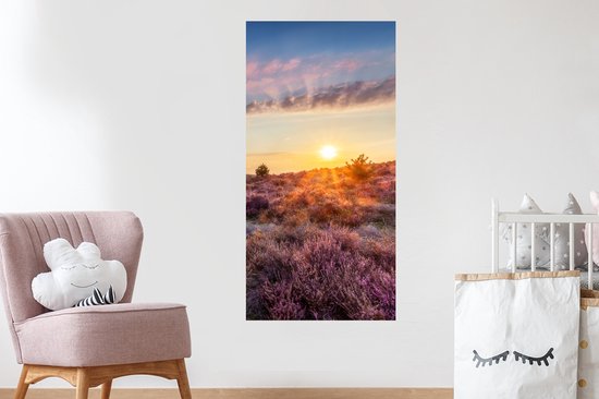 Heather fleurissant pendant le coucher du soleil aux Nederland