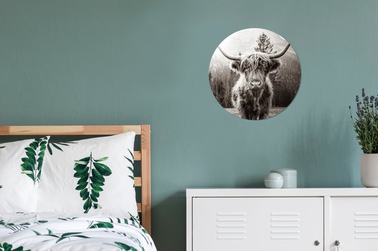Wallpaper Circle - Scottish Highlander - Animaux - Zwart - Wit - ⌀ 30 cm - Wall Circle
