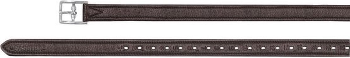 Passier Stijgbeugelriemen met nylon voering One size