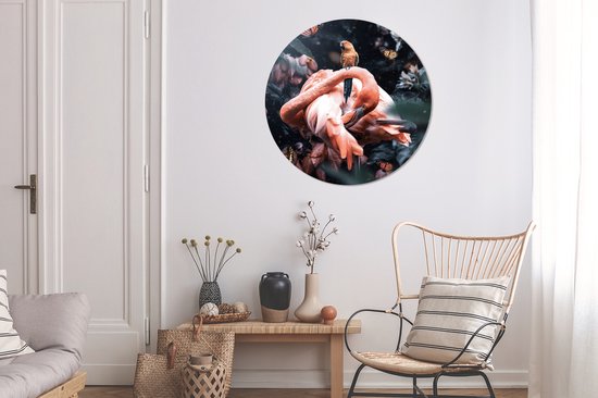 WallCircle - Cercle mural - Cercle mural - Plantes - Flamingo - Jungle - Aluminium - Dibond - ⌀ 90 cm - Intérieur et Extérieur