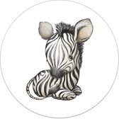 Label2X - Muurcirkel kids zebra - 30 cm - Dibond - Multicolor - Wandcirkel - Rond Schilderij - Muurdecoratie Cirkel - Wandecoratie rond - Decoratie voor woonkamer of slaapkamer