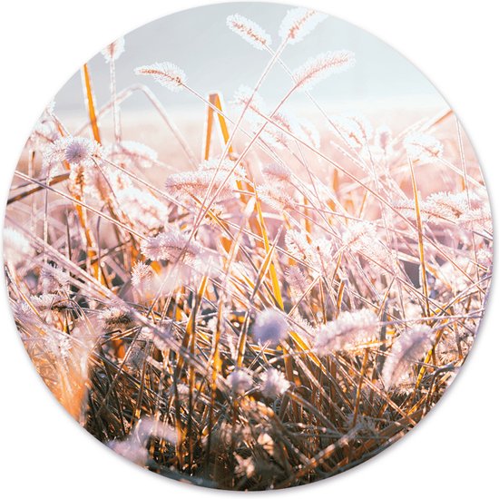 Label2X - Schilderij - Winter Morning Flower Ø - Multicolor - 60 X 60 Cm