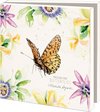 Passion for Butterflies, Michelle Dujardin