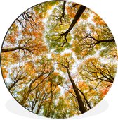 WallCircle - Cercle mural - Cercle mural - Automne - Ciel - Arbre - Aluminium - Dibond - ⌀ 60 cm - Intérieur et extérieur