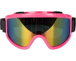 Carnaval/verkleed Apres Ski bril - roze - volwassenen - kunststof - party brillen
