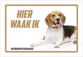 Waakbord/ bord | "Hier waak ik" | 30 x 20 cm | Beagle | Dikte: 1 mm | Gevaarlijke hond | Waakhond | Hond | Dog | Chien | Britse hond | Betreden op eigen risico | Polystyreen | Rechthoek | Witte achtergrond | 1 stuk