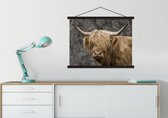 Posterhanger incl. Poster - Schoolplaat - Wereldkaart - Dieren - Schotse hooglander - 60x45 cm - Zwarte latten