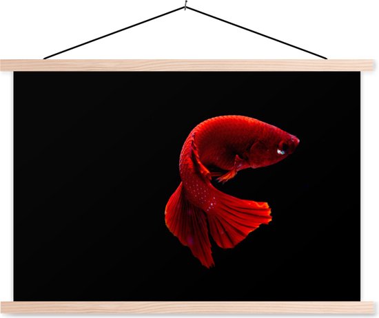 Posterhanger incl. Poster 120x80 cm - Schoolplaat - Vis - Zeedier - Staart - Rood - Textielposter - Blanke latten