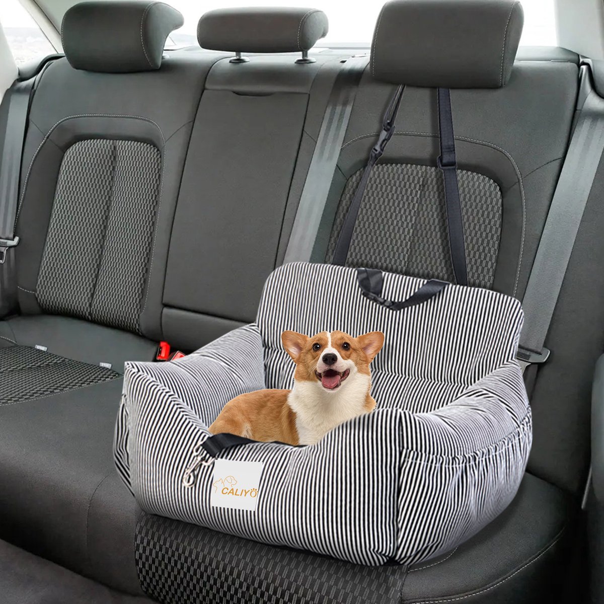 Petsen Gepersonaliseerde hondenautostoeltje, hondenstoel, auto achterbank, hondenautostoeltje, hondenstoel, hondenbox voor kleine honden, hondenmand, auto, hondenmand, (zwart