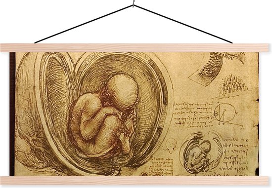 Posterhanger incl. Poster - Schoolplaat - Baby in the womb - Leonardo da Vinci - 60x30 cm - Blanke latten
