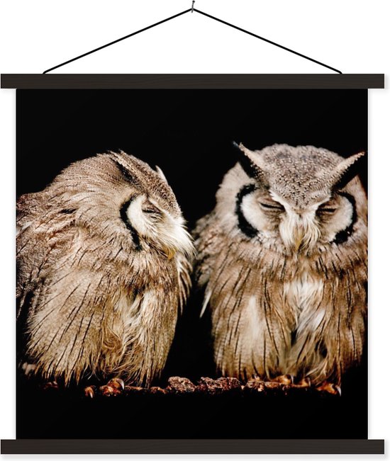 Affiche scolaire - Chouette - Vogel - Zwart - 120x120 cm - Lattes noires