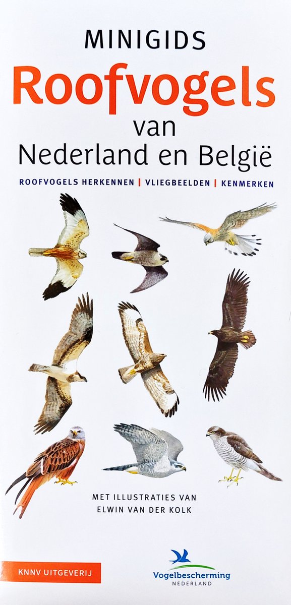 Minigids  -   Minigids Roofvogels van Nederland en België - Jip Louwe Kooijmans