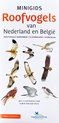 Minigids  -   Minigids Roofvogels van Nederland en België