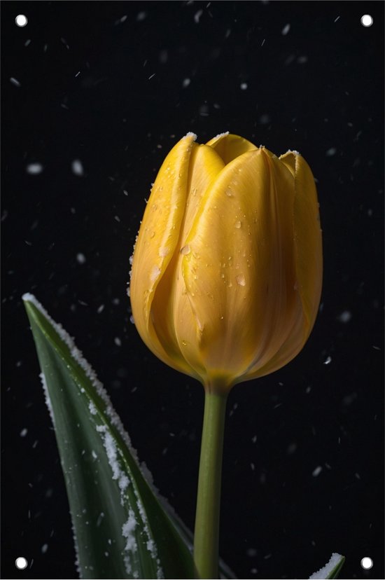 Tuinposter gele tulp - Tulp tuinposter - Tuinposter winter - Buiten poster - Tuin schilderij - Tuin decoratie - 100 x 150 cm