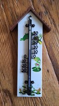 Binnen/buiten thermometer plastic met kikker print 30 x 14 cm - Huis/Tuin - Temperatuurmeters