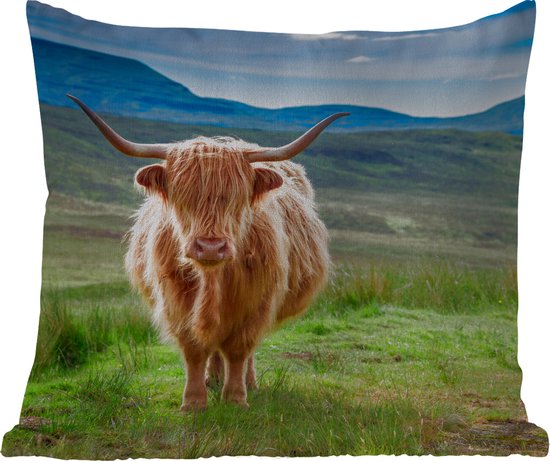 Sierkussen Buiten - Schotse hooglander - Koe - Natuur - Berg - Gras - 60x60 cm - Weerbestendig