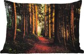 Buitenkussens - Bos - Natuur - Bomen - Landschap - Bladeren - 60x40 cm - Weerbestendig