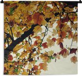 Wandkleed - Wanddoek - Bomen - Herfstbladeren - Natuur - 150x150 cm - Wandtapijt