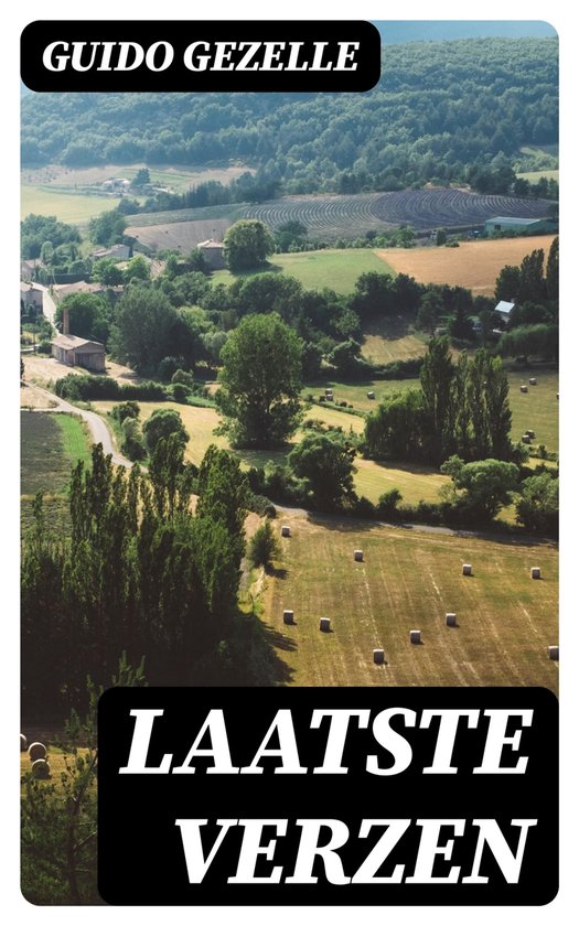 Laatste verzen - cover