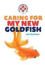 Caring for My New Goldfish