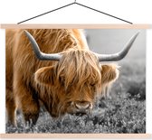 Posterhanger incl. Poster 120x90 cm - Schoolplaat - Schotse hooglander - Bloemen - Koe - Textielposter - Blanke latten