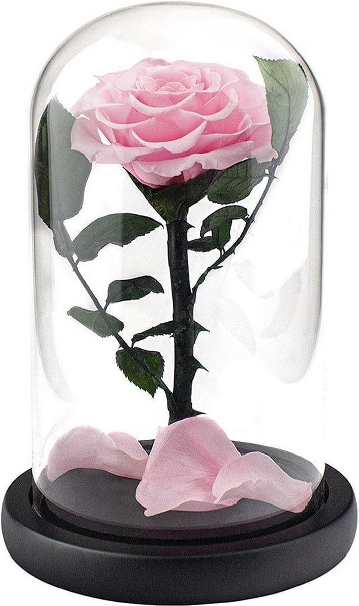 EStore Grote roos in stolp roze