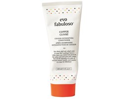 Evo Fabuloso Copper Colour Intensifying Treatment