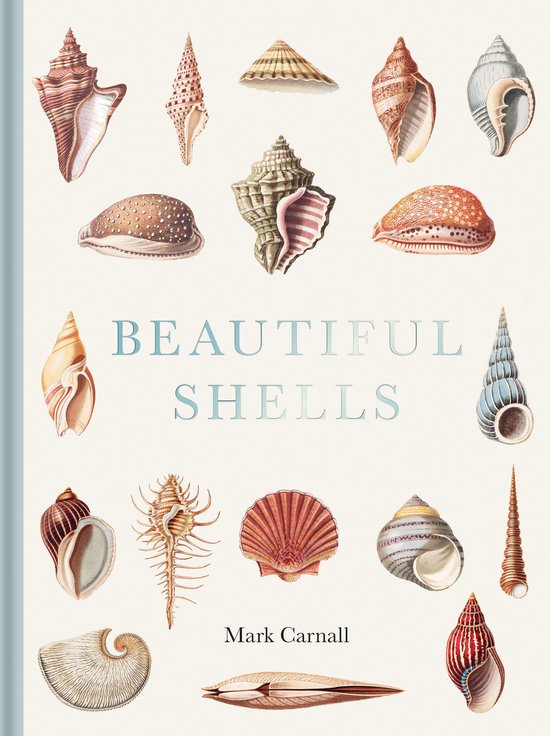 Beautiful Shells - cover