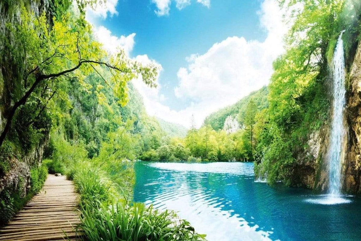 Fotobehang - Relax in Forest 375x250cm - Vliesbehang