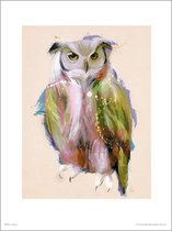 GBeye Poster - Owl Paint - 70 X 50 Cm - Multicolor