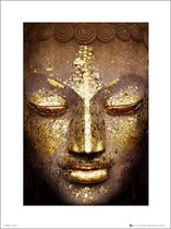 Affiche GBeye - Bouddha - 70 X 50 Cm - Multicolore