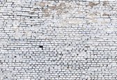 Papier Peint Komar Brique Blanche 368x254cm