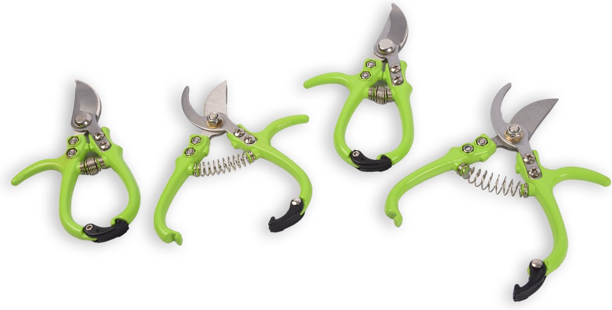 Set van 4 Bloemenschaar Snoeischaar | Metaal, Groen, 16x8x1 