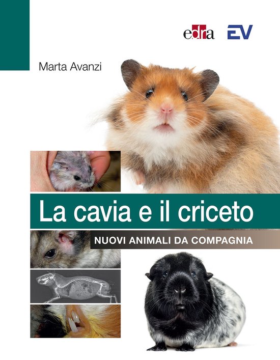 La cavia e il criceto - cover