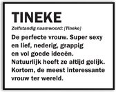 Tineke Woordenboek Fotolijst met glas 30 x 40 cm - Prachtige kwaliteit - jarig - verjaardag - kado - Canvas - incl ophangsysteem - Poster - Grappig - cadeau